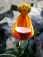 Happy Alien (Calceolaria&nbsp;Uniflora)