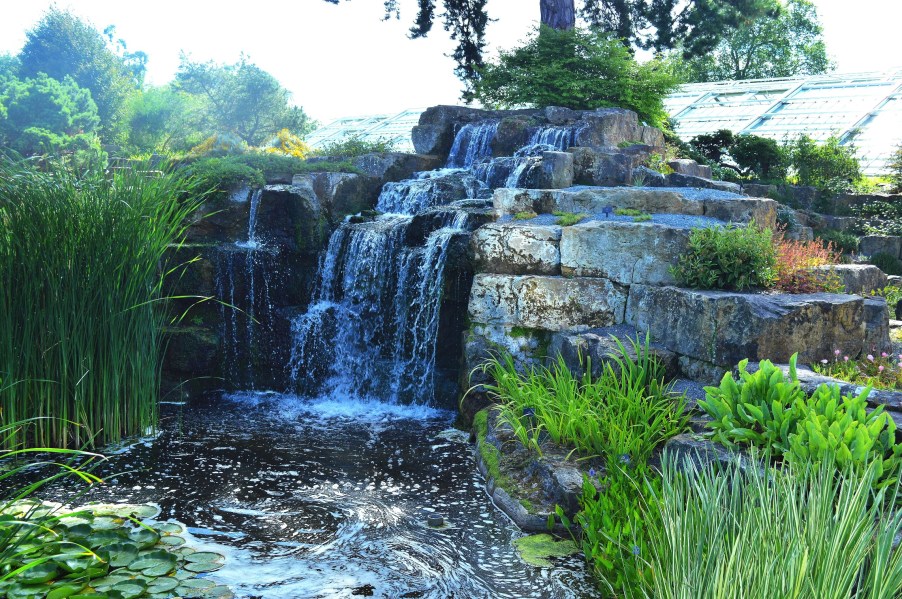 Kew Gardens Japanese Gardens Waterfall