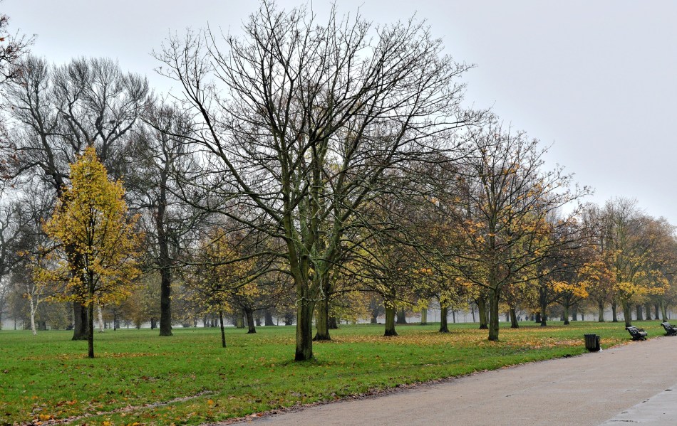 Kensington Gardens - Autumn