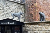 Tower of London –&nbsp;Apes