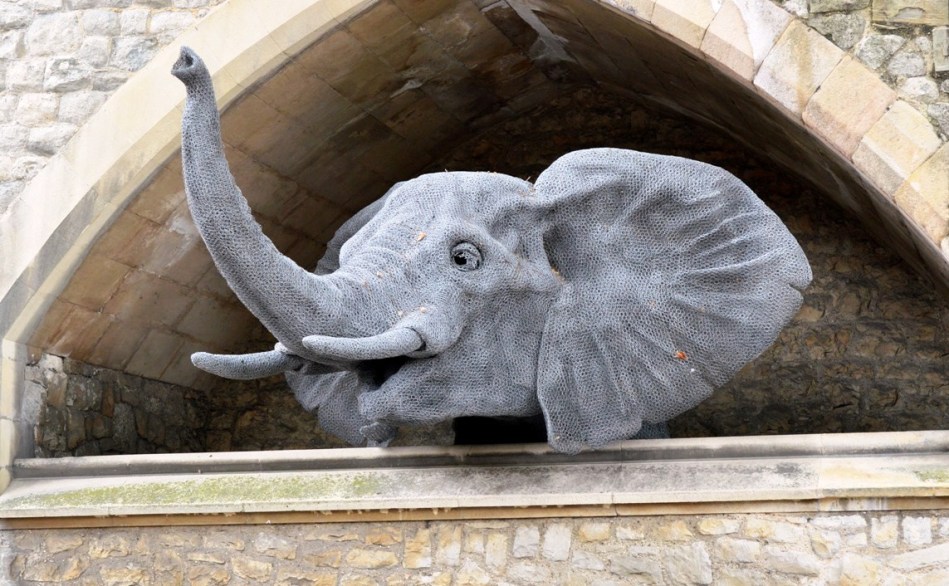 Tower of London - Menagerie