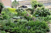 Geffrye Museum – Rose and Herb&nbsp;Garden