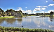Leeds Castle Lake –&nbsp;DSC_0378