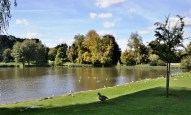 Leeds Castle Lake –&nbsp;DSC_0504