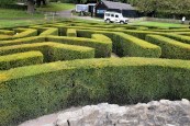 Maze at Leeds&nbsp;Castle