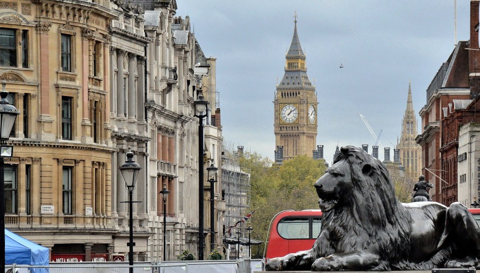 Lion at Trafalgar Square