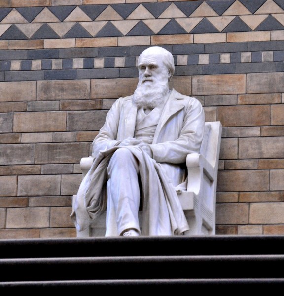 Charles Darwin Statue at the Natural History Museum