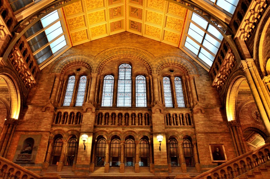 Interior Architecture at the Natural History Museum