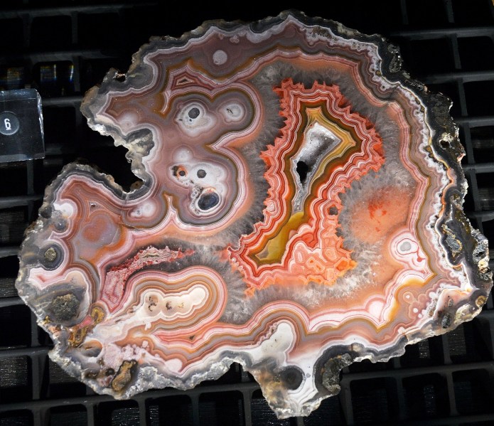 Mineral Slice in Earth's Treasury at the Natural History Museum