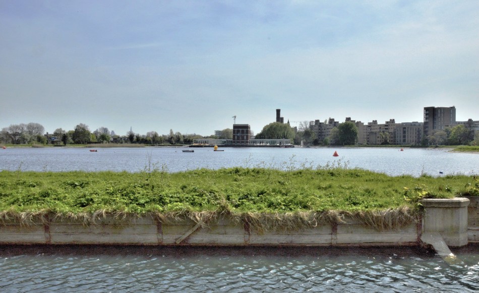 Woodberry Wetlands West Reservoir