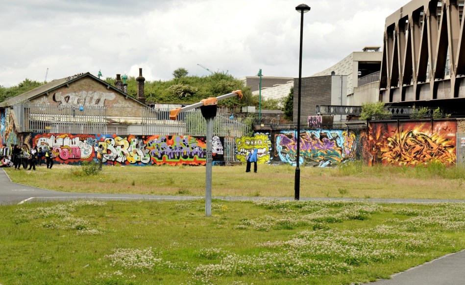 Street Art on Pedley Street Alleyway DSC_4960
