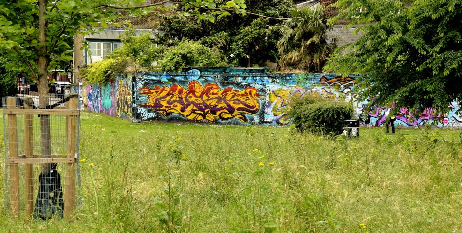 Pedley Street - Allen Gardens DSC_4958