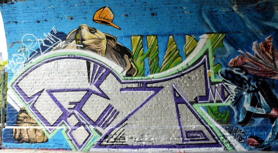 Pedley Street Alleyway DSC_4985