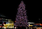 covent-garden-xmas-tree